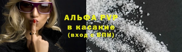 гидра Арсеньев