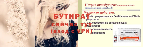 гидра Арсеньев