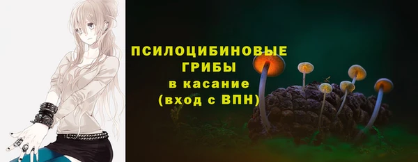 mdpv Армянск