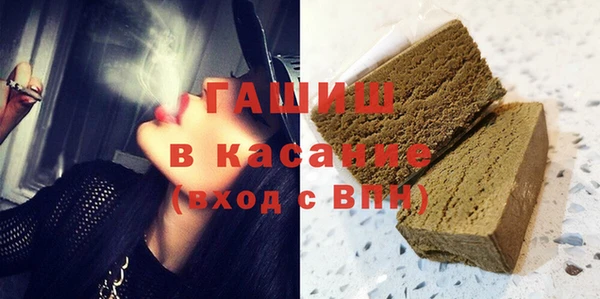 гашик Алексин