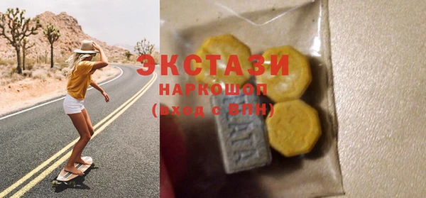 гашик Алексин