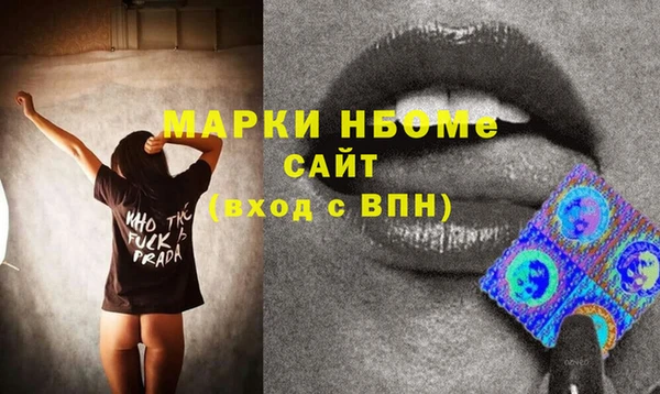 гашик Алексин