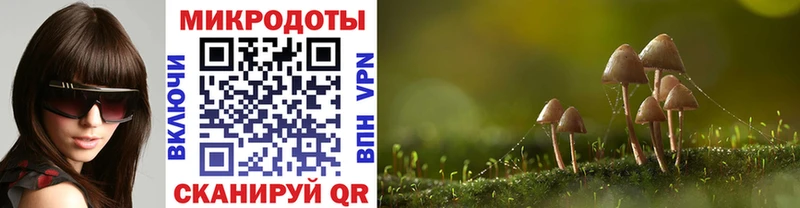 Псилоцибиновые грибы Cubensis  Купить  Торжок 